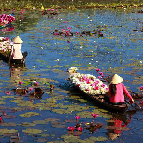 Paysage apaisant d'un lac en Thaïlande avec une barque et des fleurs de lotus, illustrant le voyage sensoriel du Rituel 2h Évasion absolue à l'institut Les Tendances de Charlotte, Saint-Quentin